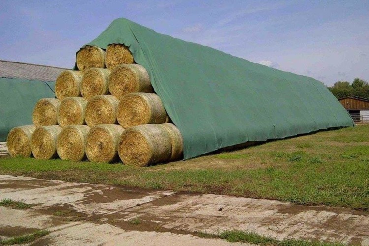 5068bb64a446ea2710fe1b26a24ba2ef